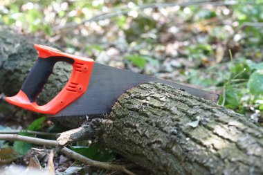 El testere üzerinde doğal bir arka plan üzerinde ağaç ağaç kesme 