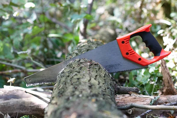 Hand hacksaw on wood cutting of tree on a natural background