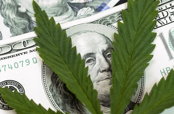 Pieniądze Liściem Marihuany Bliska Wysokiej Jakości Konopi Pieniędzy Zdjęcie — Zdjęcie stockowe