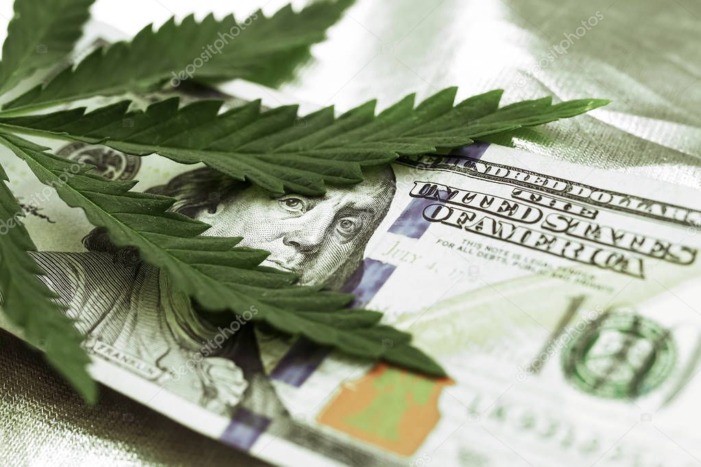 Marijuana goes out for a hundred dollar bills. Money with marijuana leaves close-up, high quality. Hemp with money. Macro