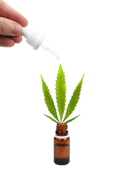 CBD oil dropper in hand, green hemp leaf in Bottle. Medical marijuana concept. Medical cannabis products isolated white background