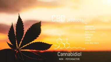 CBD esrar ürün. Tıbbi esrar ve Cannabidiol Cbd Kimya