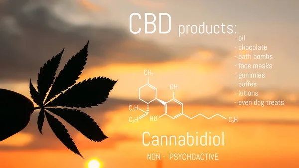 CBD esrar ürün. Tıbbi esrar ve Cannabidiol Cbd Kimya