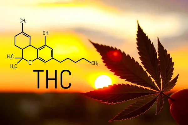 Medizinische chemische Formel Hanf thc. Molekulare Struktur Marihuana — Stockfoto