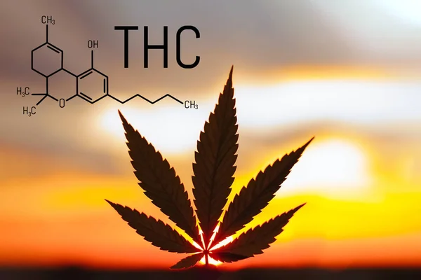 Medizinische chemische Formel Hanf thc. Molekulare Struktur Marihuana — Stockfoto