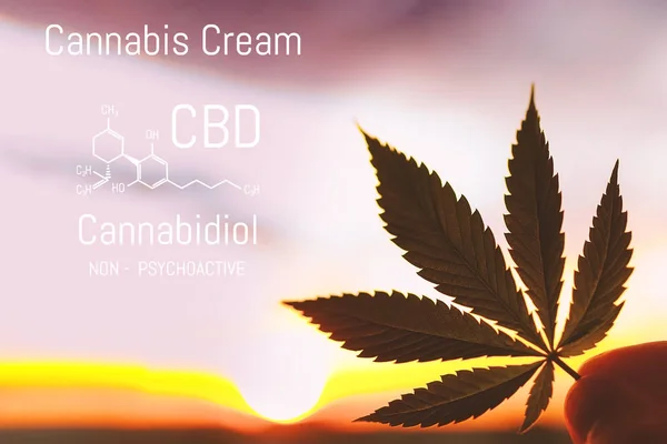 Medical cannabis cream. CBD Chemical Formula, marijuana Cannabid