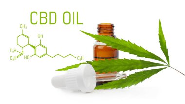 Damlalık Cbd yağla. Esrar cbd şişe izole. Kenevir yaprağı. M