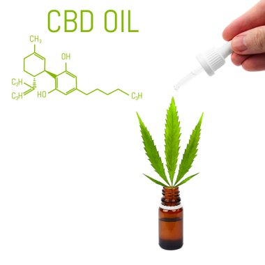 CBD damlalık el yağı, kenevir yaprak şişe yeşil. Tıbbi mari