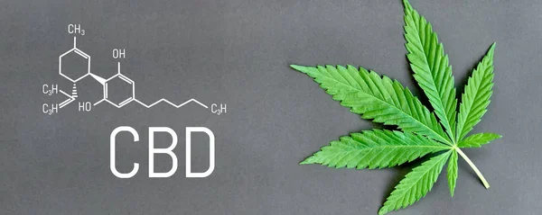 CBD Cannabis Formula. Modelo estructural de cannabidiol y tetrah —  Fotos de Stock