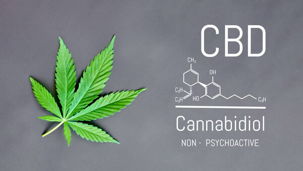 CBD Cannabis Formula. Structural model of cannabidiol and tetrah