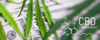 Yeşil para kağıdı marihuana yakın çekim. İlaç kavramı, medic