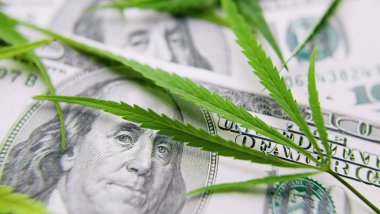 Yeşil para kağıdı marihuana yakın çekim. İlaç kavramı, medic