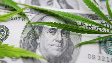 Yeşil para kağıdı marihuana yakın çekim. İlaç kavramı, medic