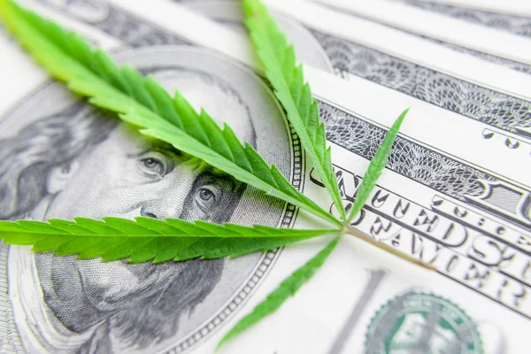 Rachunki dolara amerykańskiego na zielone liście konopi. Pieniądze i Mariju — Zdjęcie stockowe