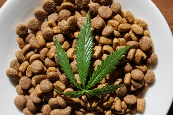 Treats for dogs and cats and green leaves of cannabis - CBD and