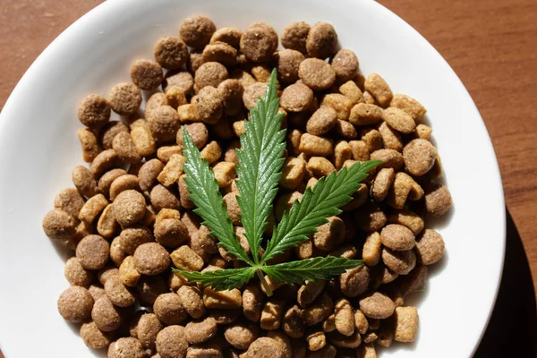 Treats for dogs and cats and green leaves of cannabis - CBD and — Stock Photo, Image