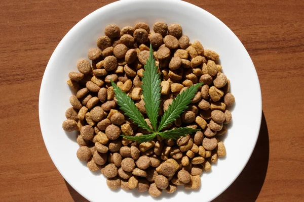 Treats for dogs and cats and green leaves of cannabis - CBD and