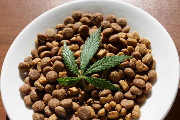Treats for dogs and cats and green leaves of cannabis - CBD and — Stock Photo, Image