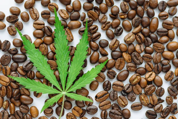 Coffee beans with marijuana leaves background top view.  Green c — Stock Photo, Image