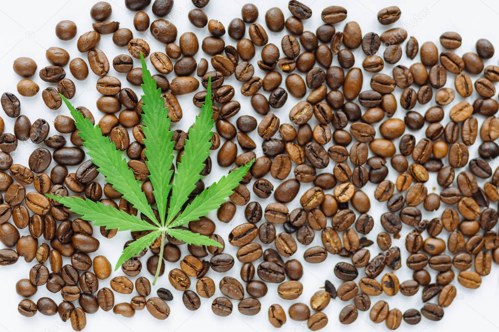 Coffee beans with marijuana leaves background top view.  Green c