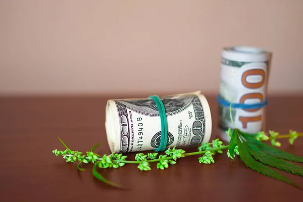 Cannabis CBD with seeds and dollars in money tied with a rubber — Stock Photo, Image