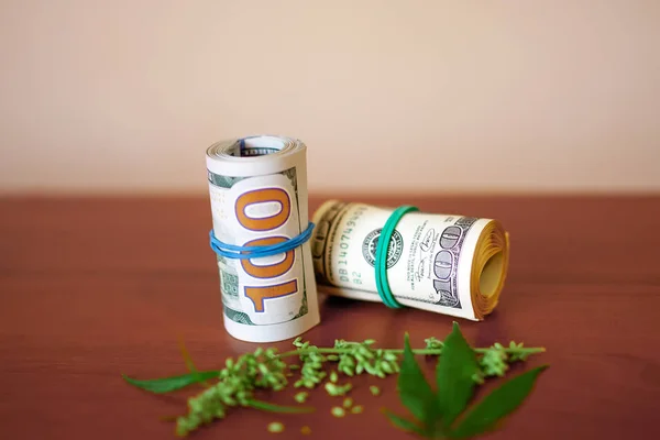 Cannabis CBD con semillas y dólares en dinero atado con una goma — Foto de Stock