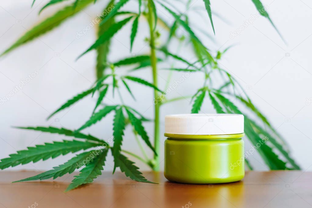 Cannabis hemp cream background with marijuana leaf - cannabis co