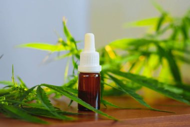 Bir şişe kenevir CBD yağı. Tıbbi esrar ürünleri dahil olabilir