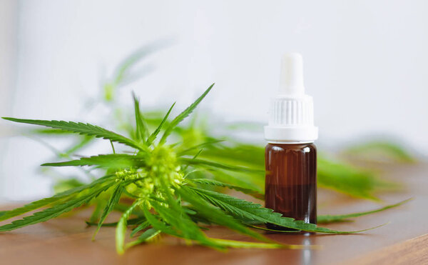 Bottle of Hemp CBD oil. Medical marijuana products including can