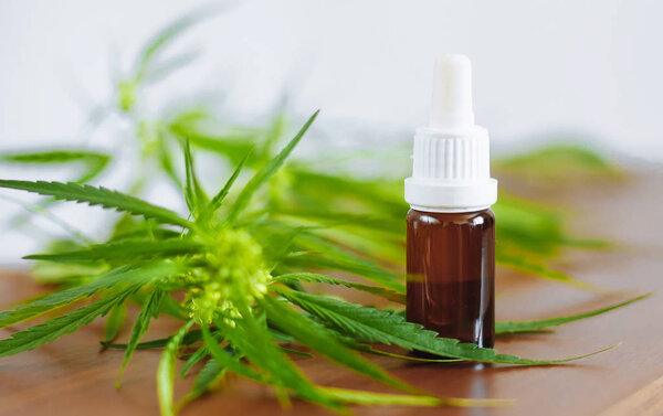 Bottle of CBD oil on cannabis background. Medical cannabis with 