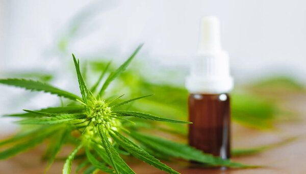 Bottle of CBD oil on cannabis background. Medical cannabis with 