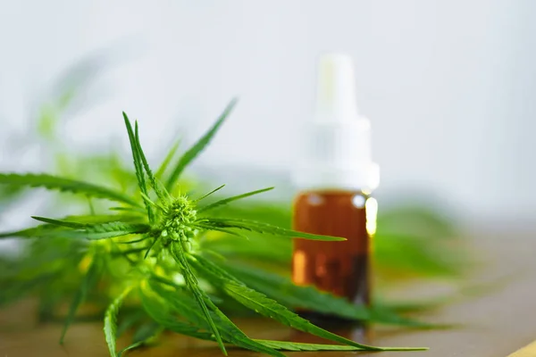 Botella de aceite de CBD sobre fondo de cannabis. Cannabis medicinal con — Foto de Stock