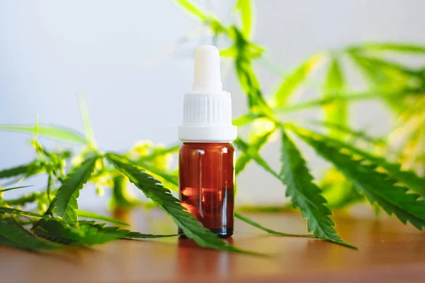 Botella de aceite de CBD sobre fondo de cannabis. Cannabis medicinal con — Foto de Stock