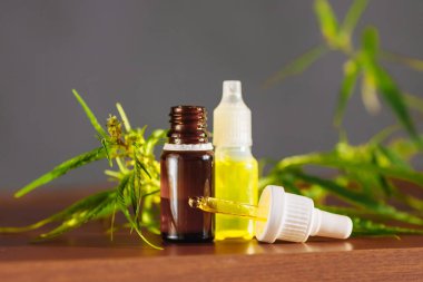 Wellness kenevir Cannabidiol, esrar giriş üzerinde CBD yağı şişesi