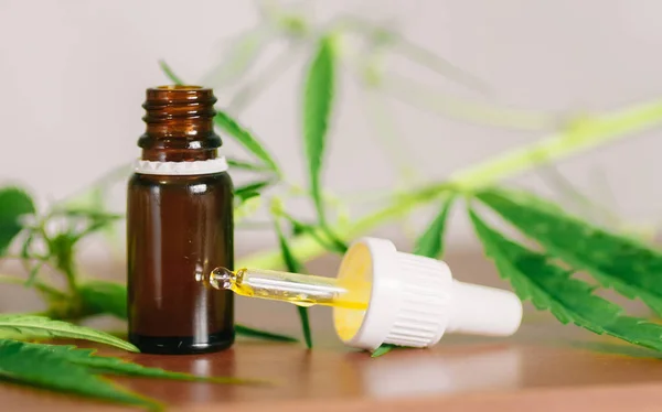 CBD olej proti lupénce