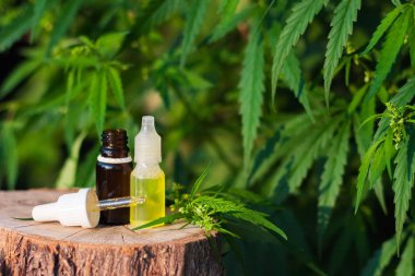 İlaç CBD yağı. Bitkisel organik ilaç ürünü. Doğal