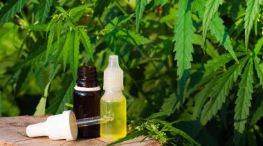 İlaç CBD yağı. Bitkisel organik ilaç ürünü. Doğal