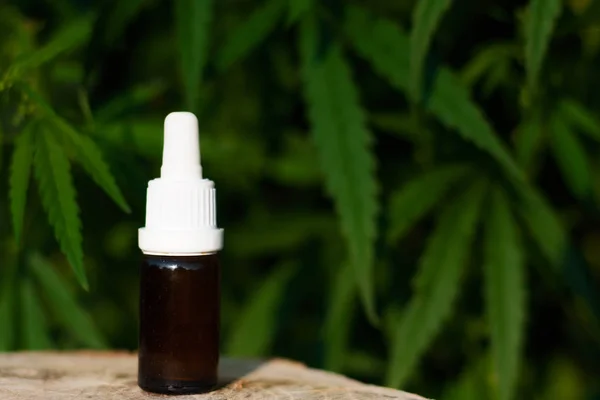 Pharmaceutical CBD oil. Herbal organic medicine product. Natural