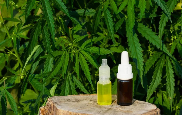 Pharmaceutical CBD oil. Herbal organic medicine product. Natural