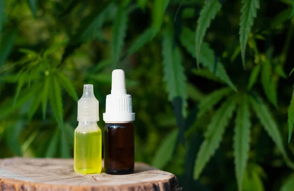 Pharmaceutical CBD oil. Herbal organic medicine product. Natural