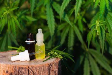 Esrar arka planda CBD yağı bir şişe. Wellness kenevir Cannabid