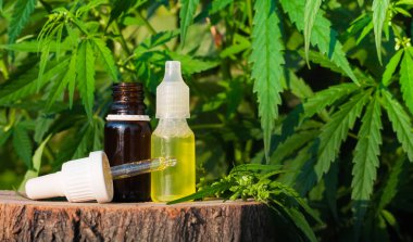 Esrar arka planda CBD yağı bir şişe. Wellness kenevir Cannabid