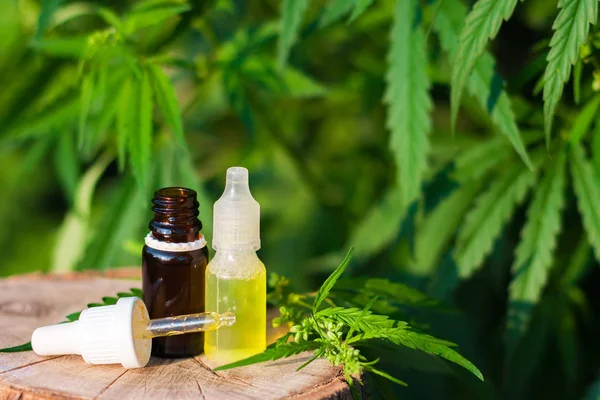 Bottle of CBD oil on cannabis background. Wellness Hemp Cannabid — Stock Photo, Image