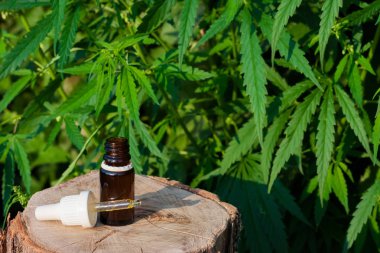 Kenevir CBD yağ pipet, esrar yağ şişesi, kenevir özler