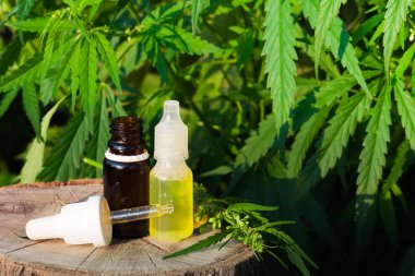 Kenevir CBD yağ pipet, esrar yağ şişesi, kenevir özler