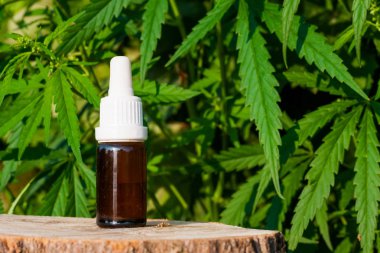 Esrar bitki, CBD yağ pipet karşı esrar yağı bir şişe.