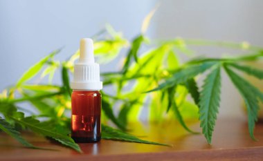 Esrar arka planda bir pipet ile Cannabidiol Cbd yağı, h