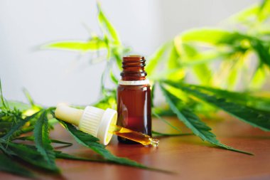 Esrar arka planda bir pipet ile Cannabidiol Cbd yağı, h
