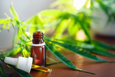 Esrar arka planda bir pipet ile Cannabidiol Cbd yağı, h