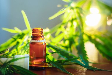 Esrar arka planda bir pipet ile Cannabidiol Cbd yağı, h